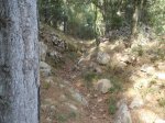 P7220303 (Copiar).JPG