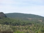 P7220317 (Copiar).JPG