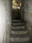 IMG_2326 [800x600].jpg