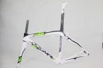 Dogma Movistar.jpg