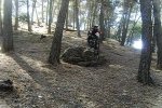 PIC_3556.jpg