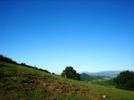 IMG_0014.jpg