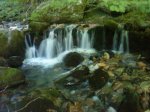 DSC06744.JPG