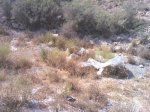 IMG_20120720_173508.jpg