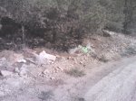 IMG_20120720_174217.jpg