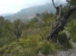 vallde-valde22.jpg