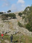 DSC01856.JPG