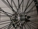SPINERGY DE WEESP 1.jpg