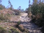 DSCN1021.JPG