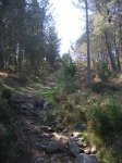 DSCN1038.JPG