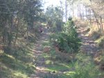 DSCN1043.JPG