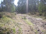 DSCN1055.JPG