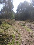 DSCN1054.JPG