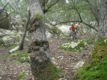 DSCN9872.jpg