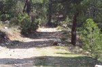 100_0583.jpg