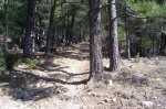 100_0584.jpg