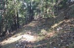 100_0591.jpg
