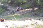 100_0593.jpg