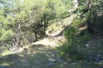 100_0594.jpg