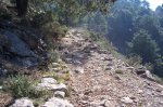 100_0595.jpg