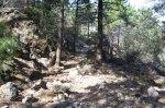 100_0597.jpg