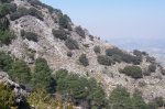 100_0599.jpg
