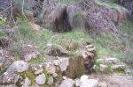 100_0601.jpg