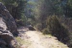 100_0605.jpg