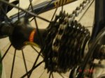 DSC01510.jpg