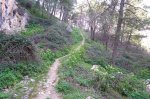 100_0606.jpg