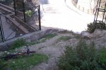 100_0613.jpg
