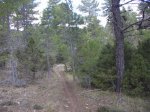cuenca 042 (Medium).jpg
