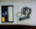 DSC00118a.JPG
