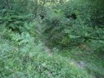 IMG_3983.JPG