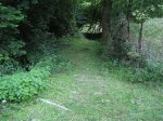 IMG_3987.JPG