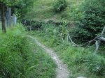 IMG_3994.JPG