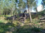 DSC00156.JPG