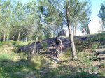 DSC00157.JPG