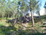 DSC00161.JPG
