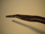 DSCN7253.JPG
