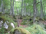 IMG_0227.JPG