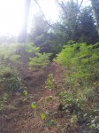 20120725_191652_768x1024.jpg
