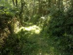 240720121628.jpg