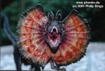 dilophosaurus%u0025255B1%255D.jpg