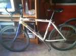 IMG-20120111-WA0003.jpg