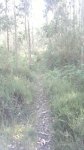 260720121660.jpg