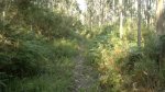 260720121661.jpg