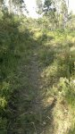 260720121662.jpg