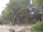 IMG_2899_1024x768.jpg