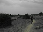 IMG_2957_1024x768.jpg